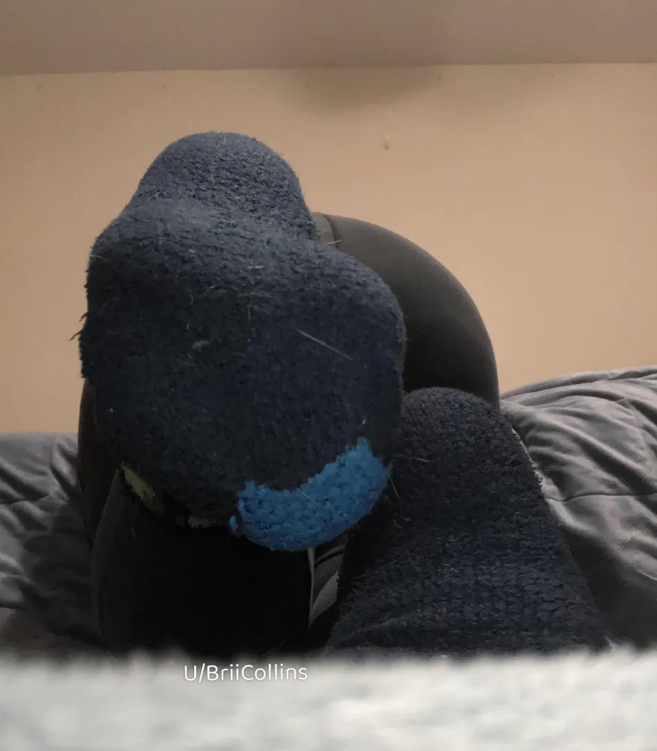 Nothing better than the scent of fuzzy socks want to find out?