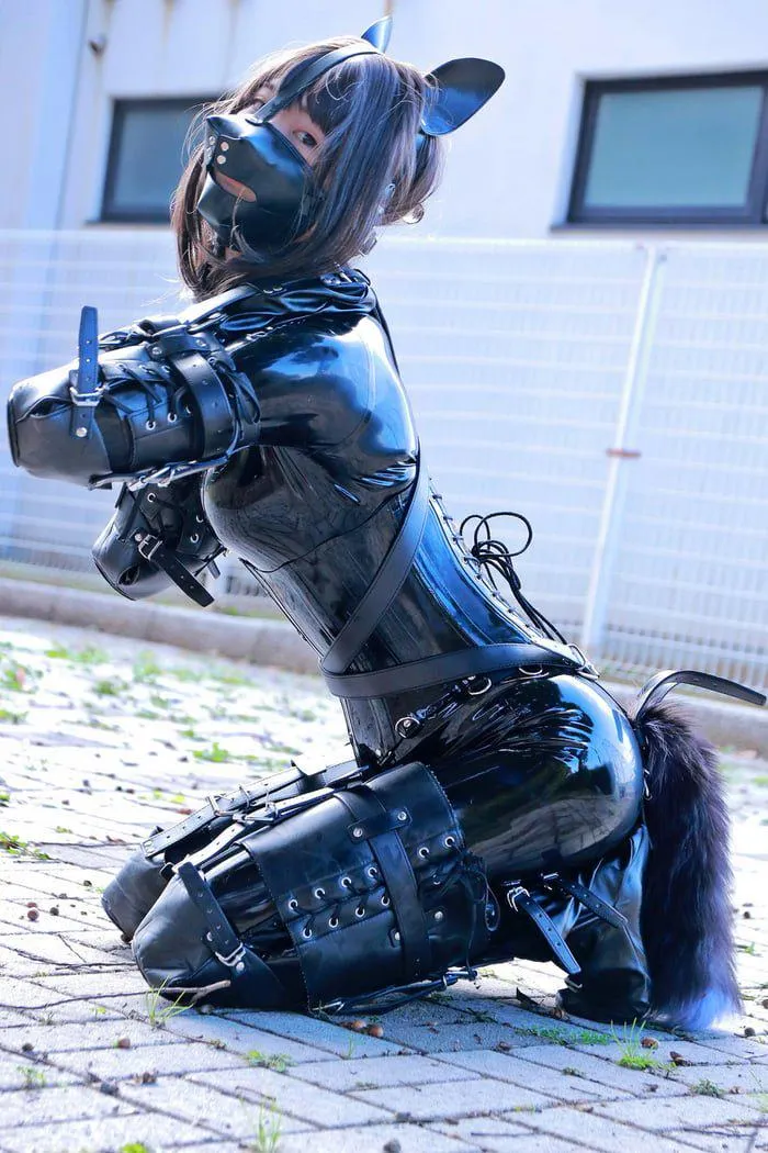 Perfect suit for your life long buddy.