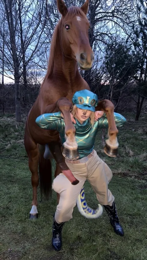 stallion keeps jumping up on my back 