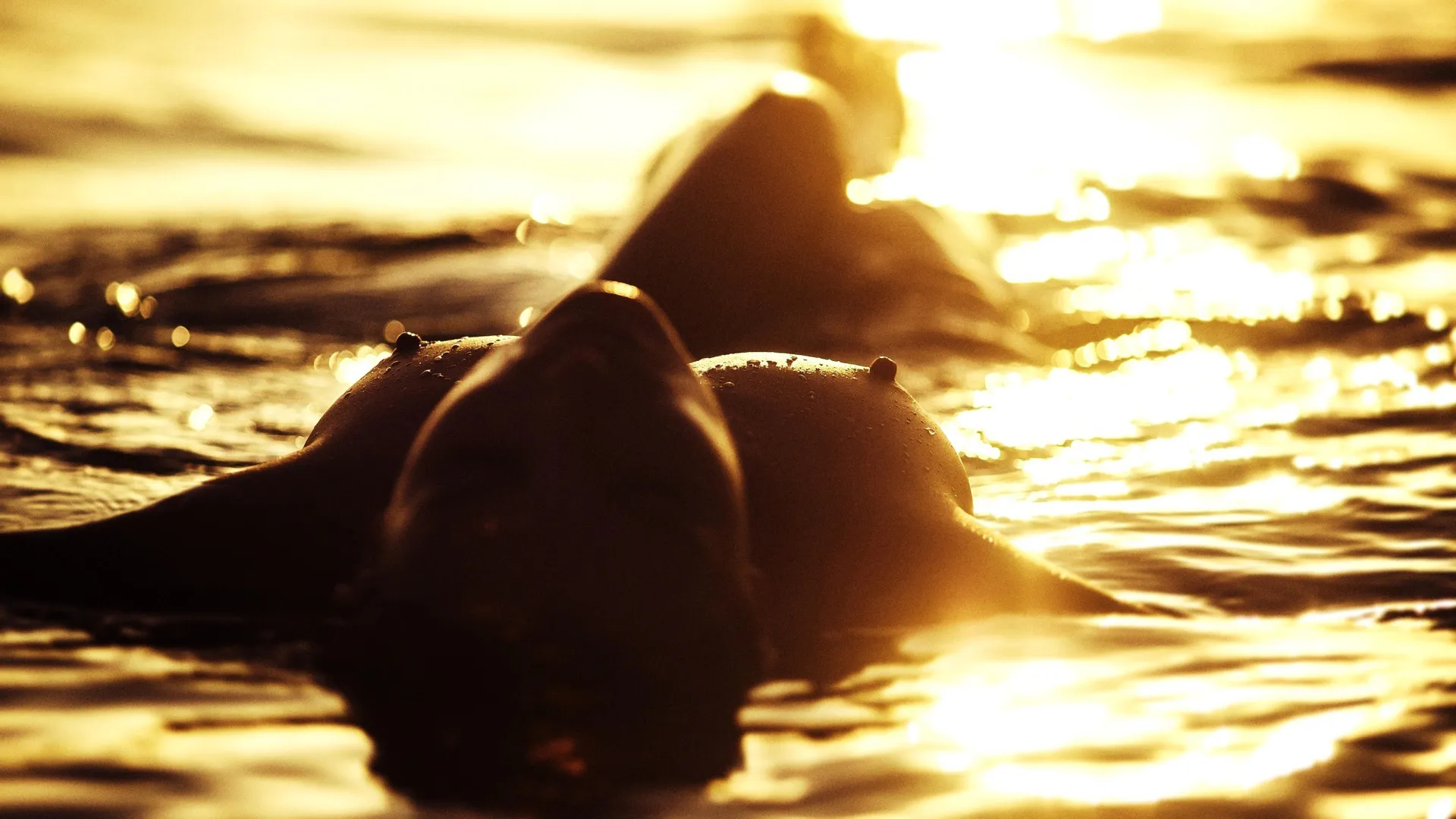 Sunlight Nips - 3840x2160