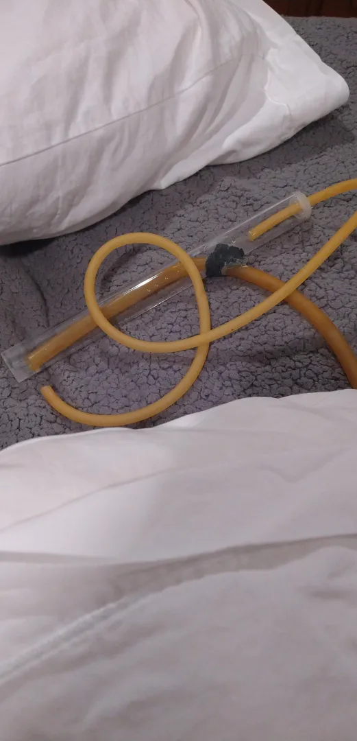 Teehee... My Meow Turned Into A...