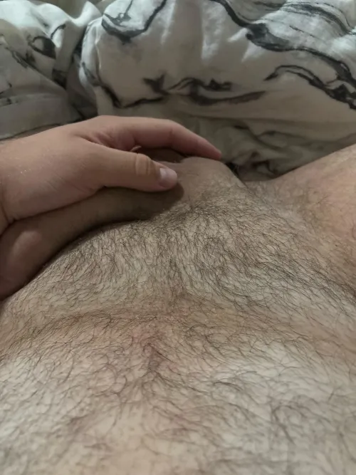 20 Aus for other Aus/uncut @uc2428