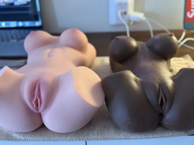 48 [M4M] Minneapolis. My set up for the day. Need some hung men to breed them both.