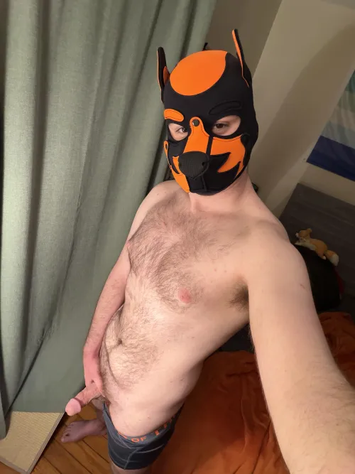 Be a good pup and get on your knees for me