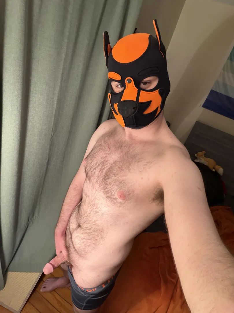 Be a good pup and get on your knees for me