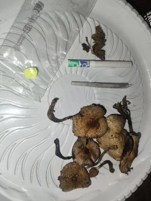 Combinação da noite