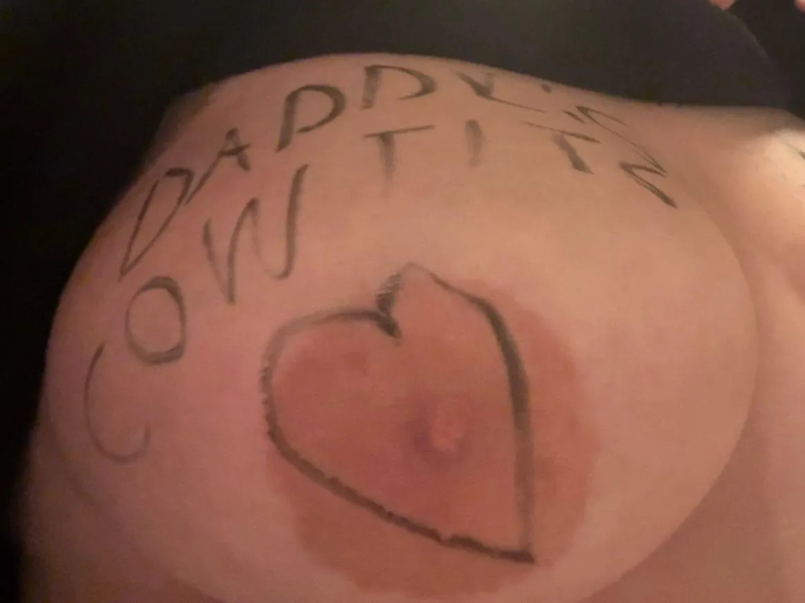 Daddy's Cow Tits 