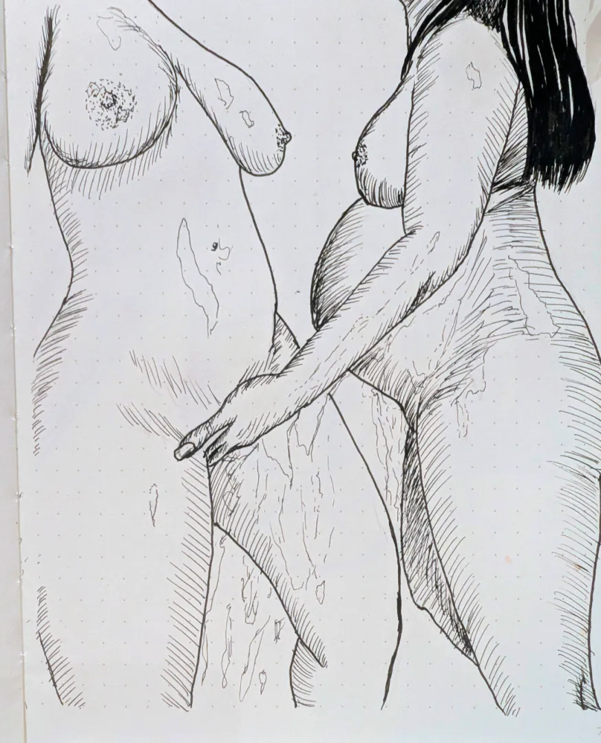 Day 33 - I've had a little break, but I'm back