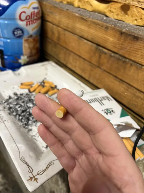 Encourage me to smoke two whole packs of Marb menthol 100s today !