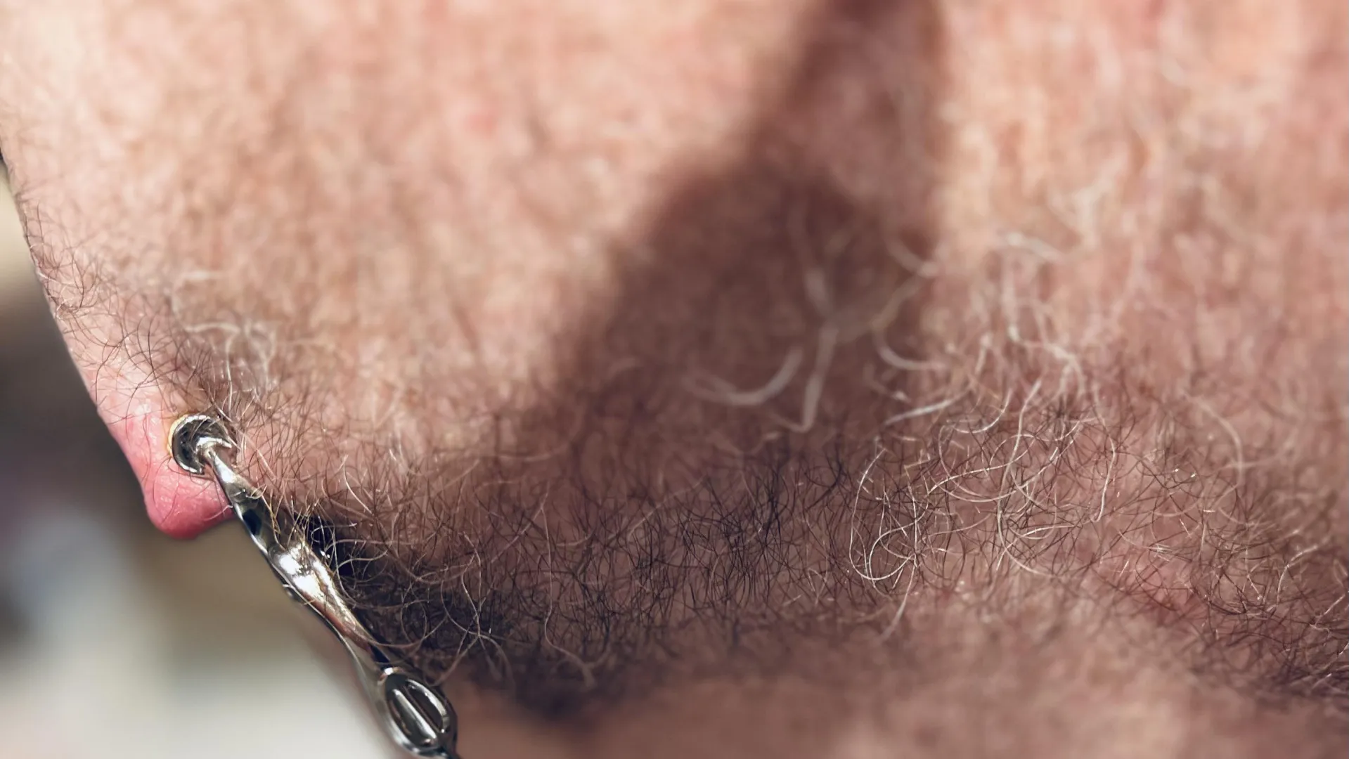 I need to submit irl