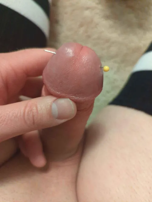 Looking for friends to chat and share the cbt I've done