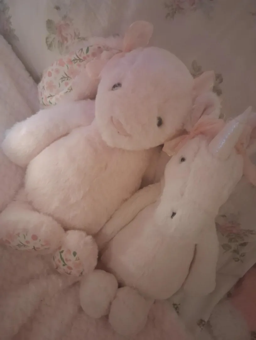 my babies ૮₍˶ᵔ ᵕ ᵔ˶ ₎ა