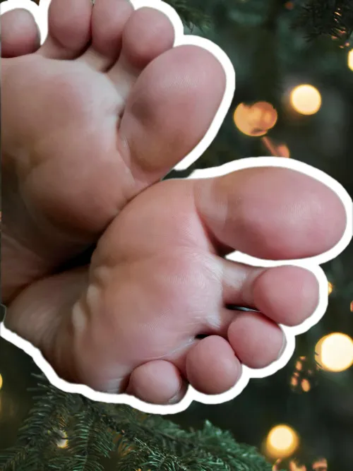 Nothing but them. You know why.