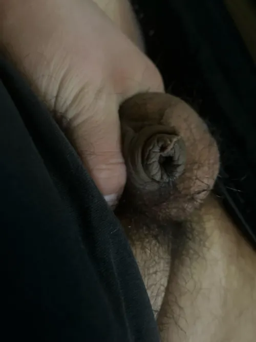 Please give me your opinions on my soft dick