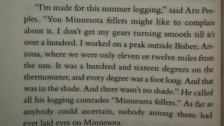 Train Dreams understands masculinity in a way that will never be replicated