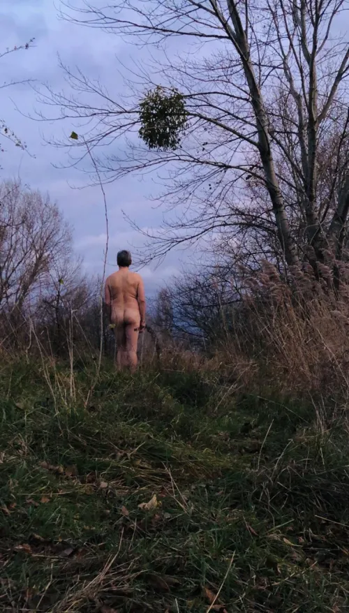 Under the mistletoe…