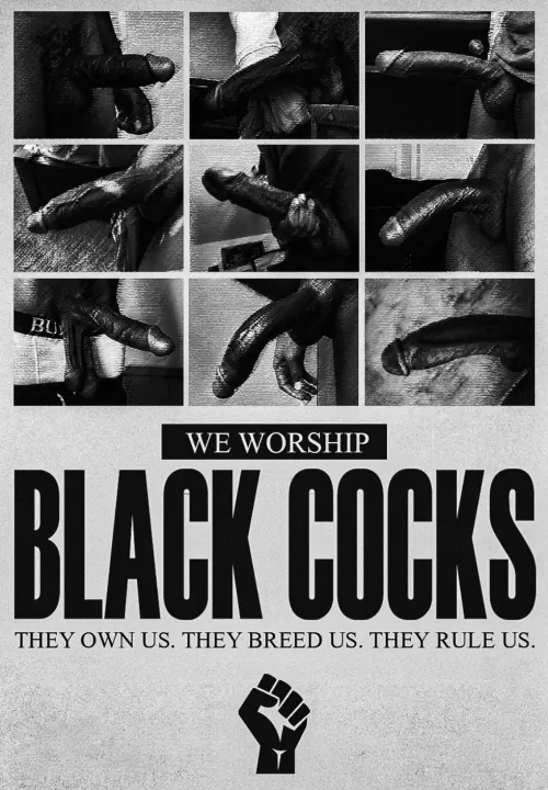 we all have to worship superior black cocks!