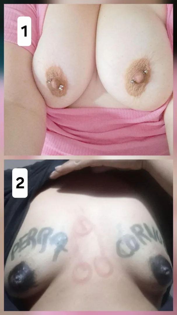 Which pair of breasts do you prefer?