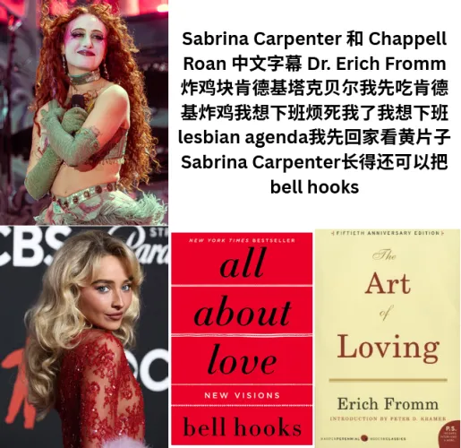 爱的艺术是一个很有历史的书，但是我觉得Sabrina不太懂Chappell的女同性恋gender背景