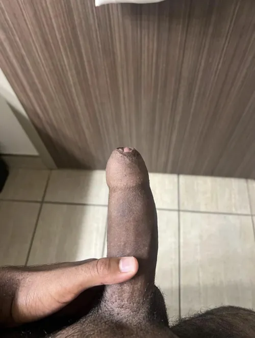 19 m bull visiting the city within a week