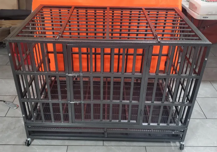 65 [M4F] #NY #Albany- 18 and over Gen Z or Millenial girls for Slave experience