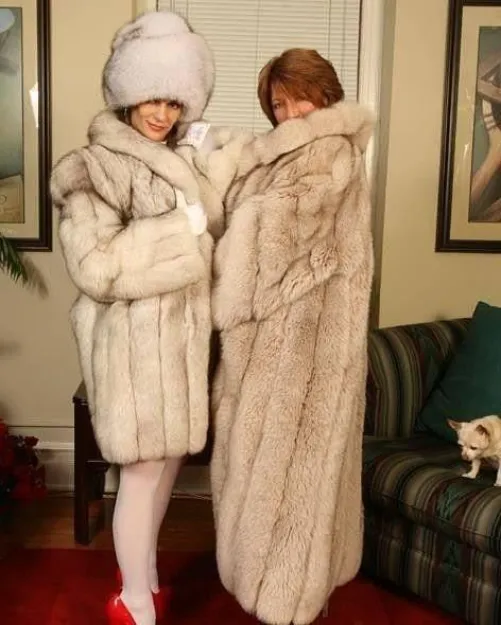 Anyone in Michigan want to chat about fur with a 19m