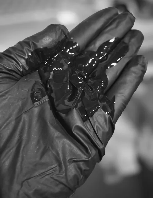 Eat it slowly from my fingers to my palm, you'll love this.