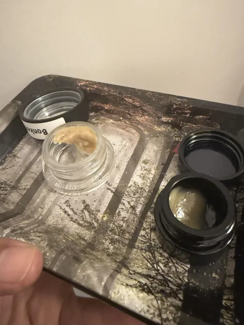 HRC Governmint Oasis & Staefli Bonkers