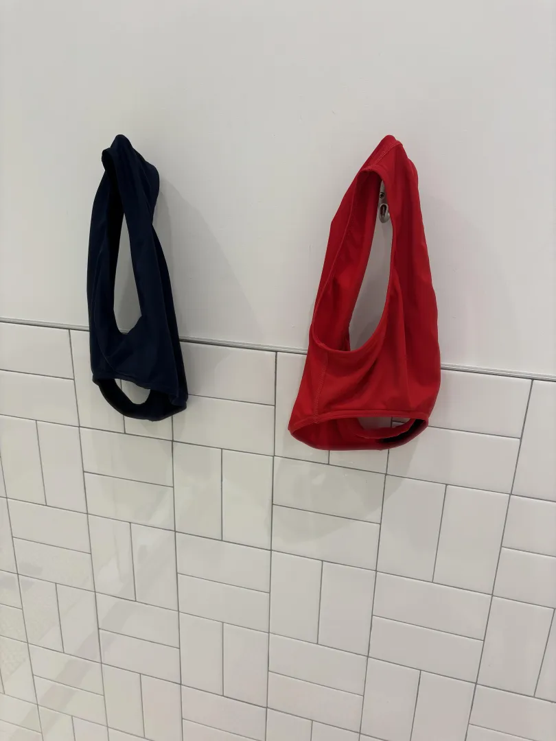 If I Could Only Have Two Colors: