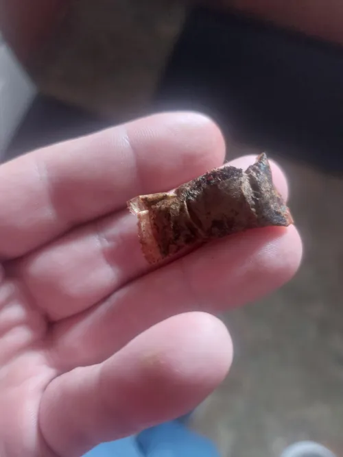 Longhorn Natural Pouches have had so many busted open, it's ridiculous. The Straight ones haven't been so bad. But, this is 4th this can.