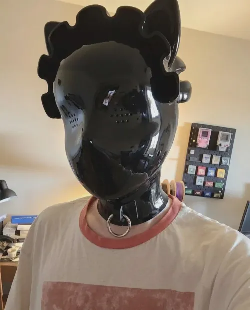 New hood came in! What should I pair it with? 