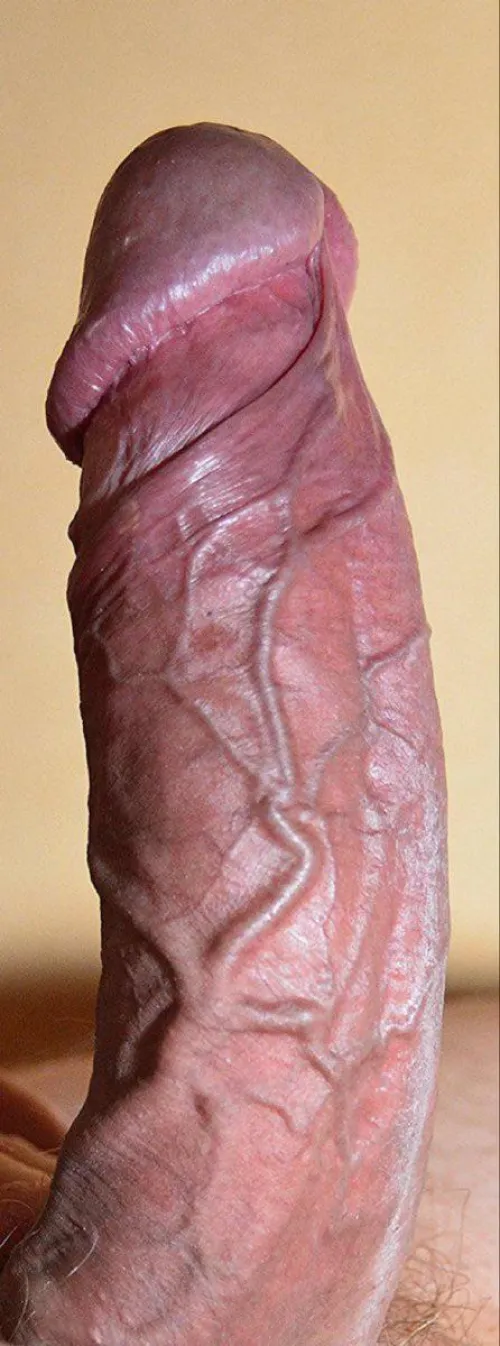 Veiny cock