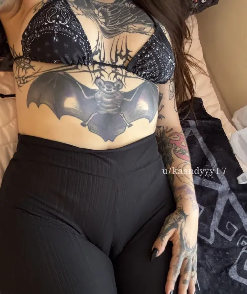 what would yo dog with all this :3