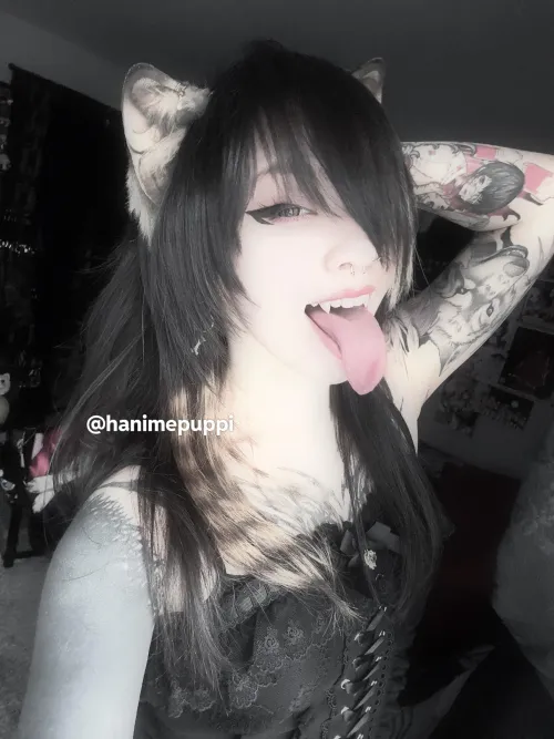 What’s up? :3 (Hanimepuppi)