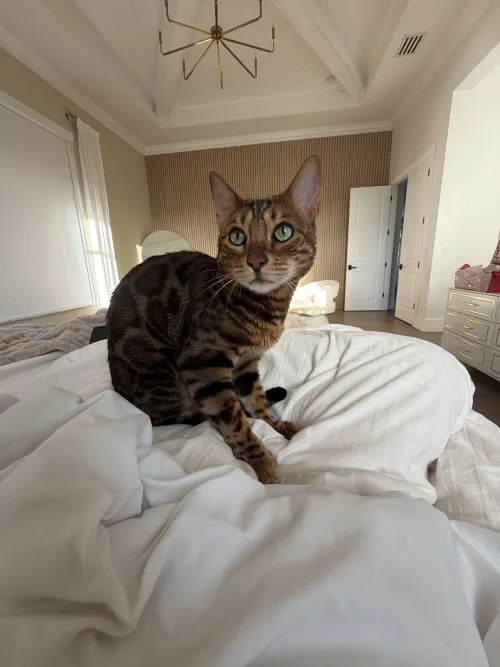 Do you know his name?!