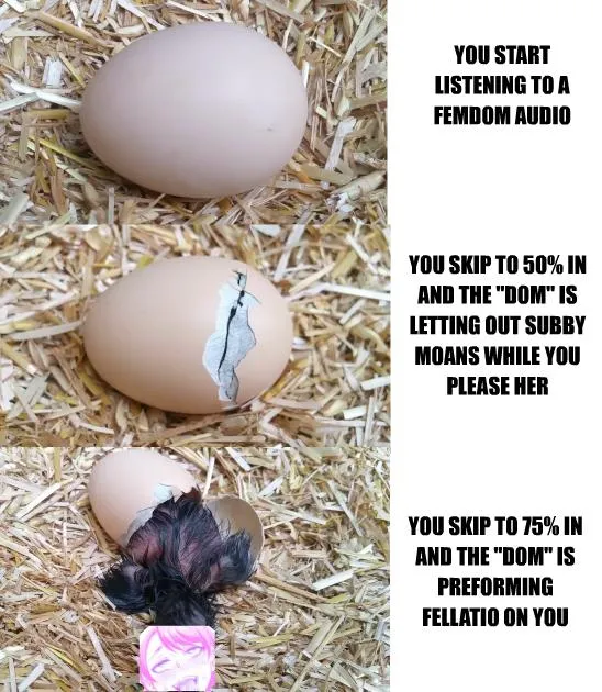 Is femdom always like this? lol