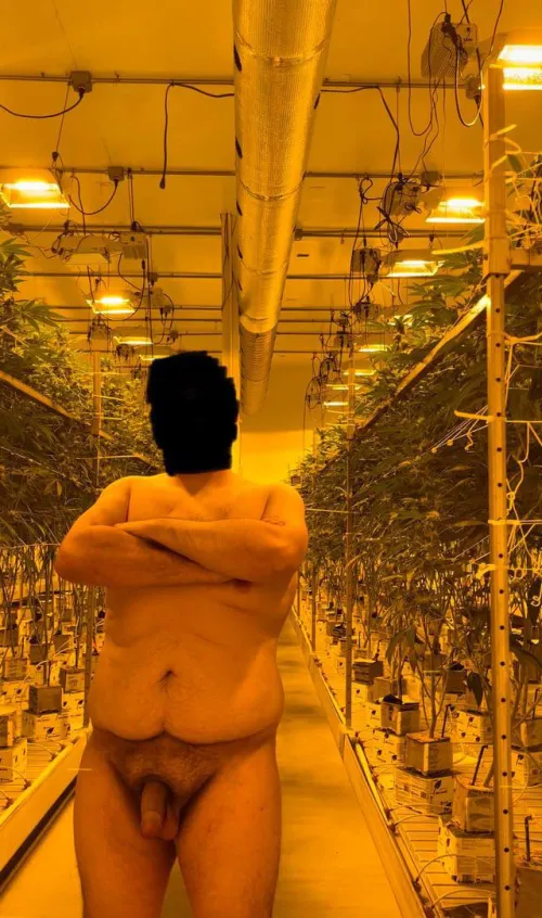 long days in the garden (m)