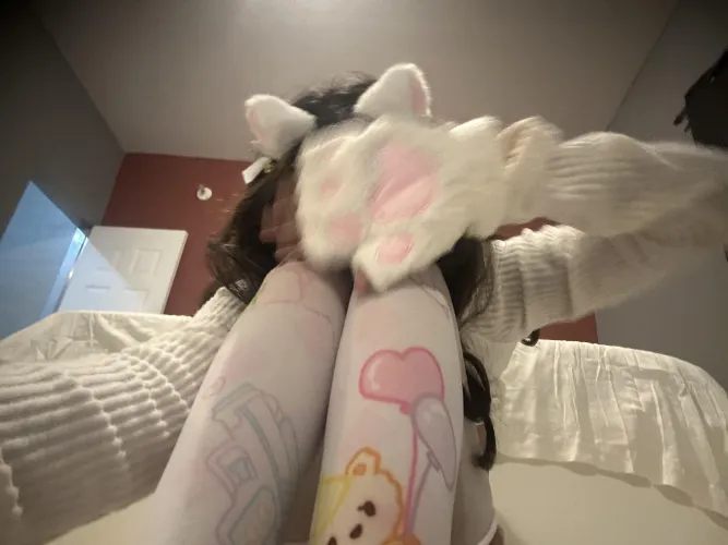 Meow meow i’m hungry