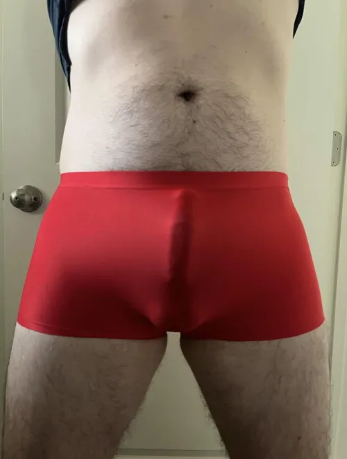 Satin panty bulge