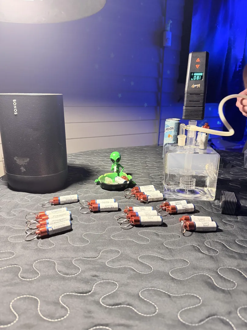 What are we choosing next?