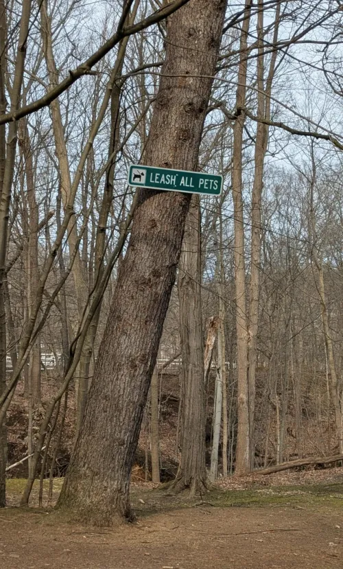 Different strokes for different folks