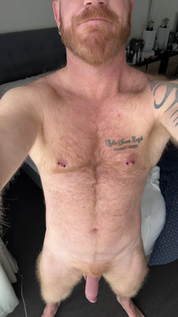 Hanging low in the morning sun