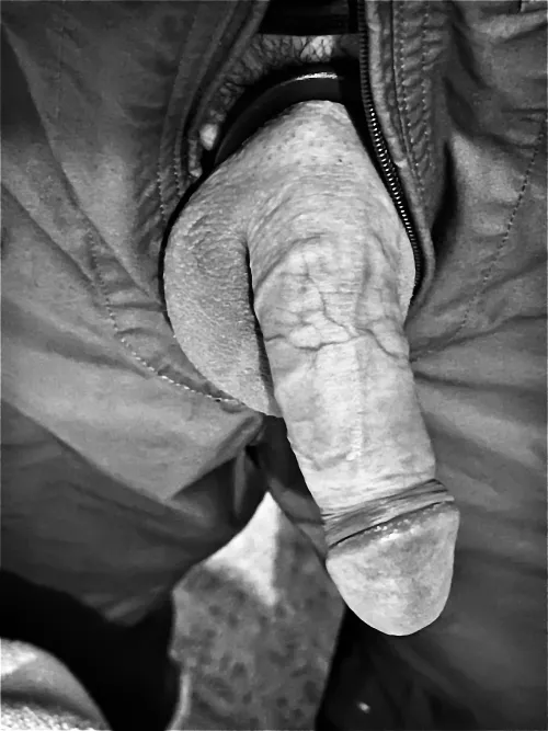 Hanging out comfortably and ready for every encounter