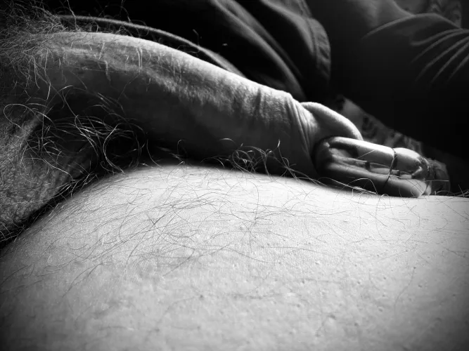 Just hanging out in the sun. (17mm PA)