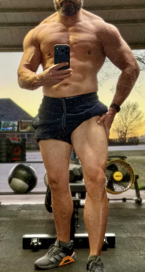 Post Cut Gains, +10lbs, 10 More to Go!