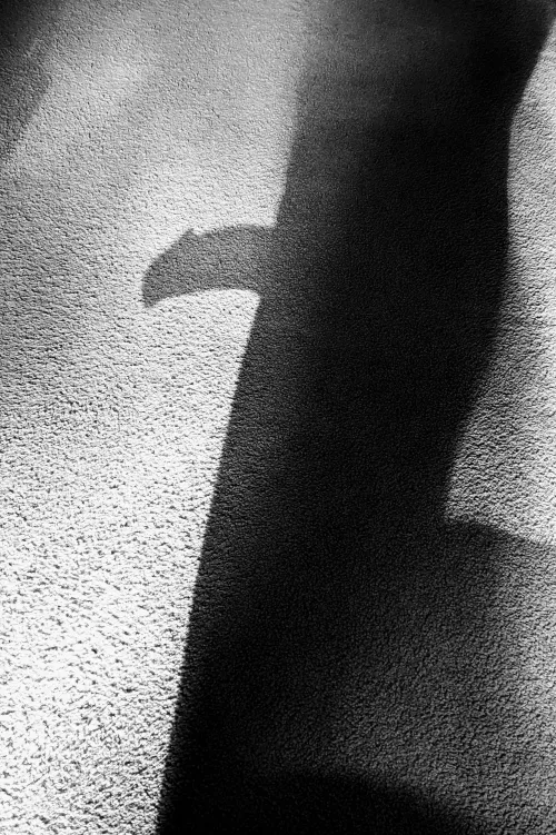 Taking advantage of the sun today (Bothell)