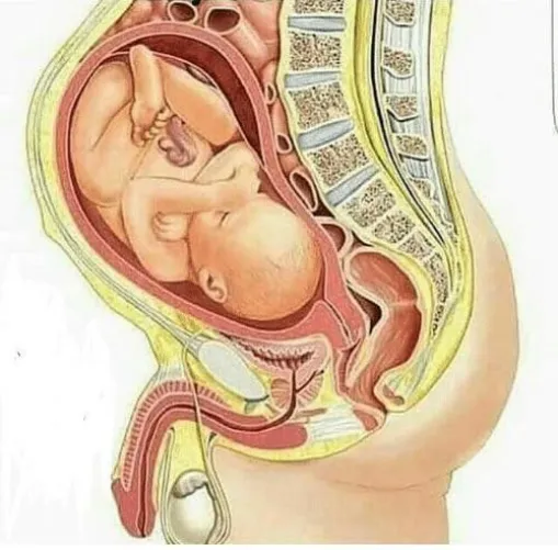 Wish I could find a man to make this happen 