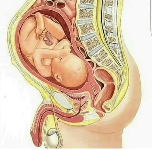 Wish I could find a man to make this happen 