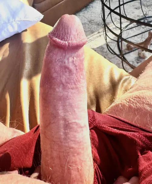 Anyone want to ride?