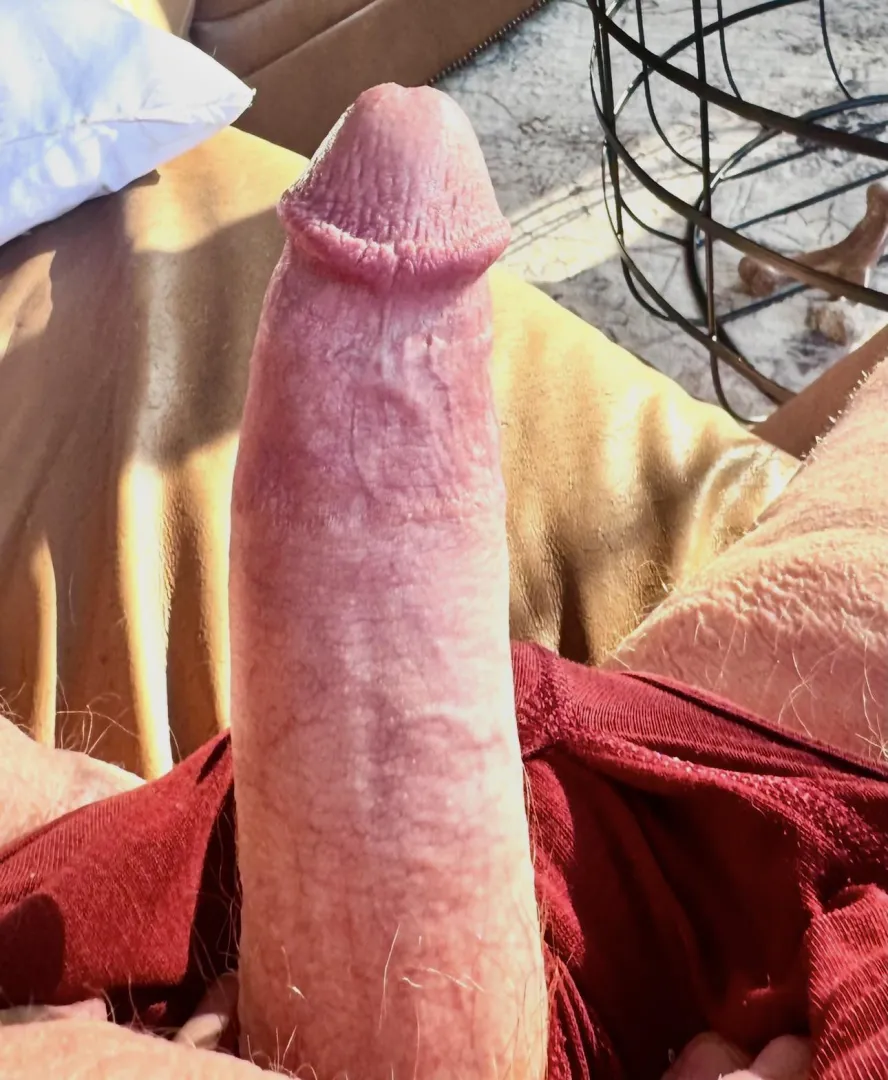 Anyone want to ride?